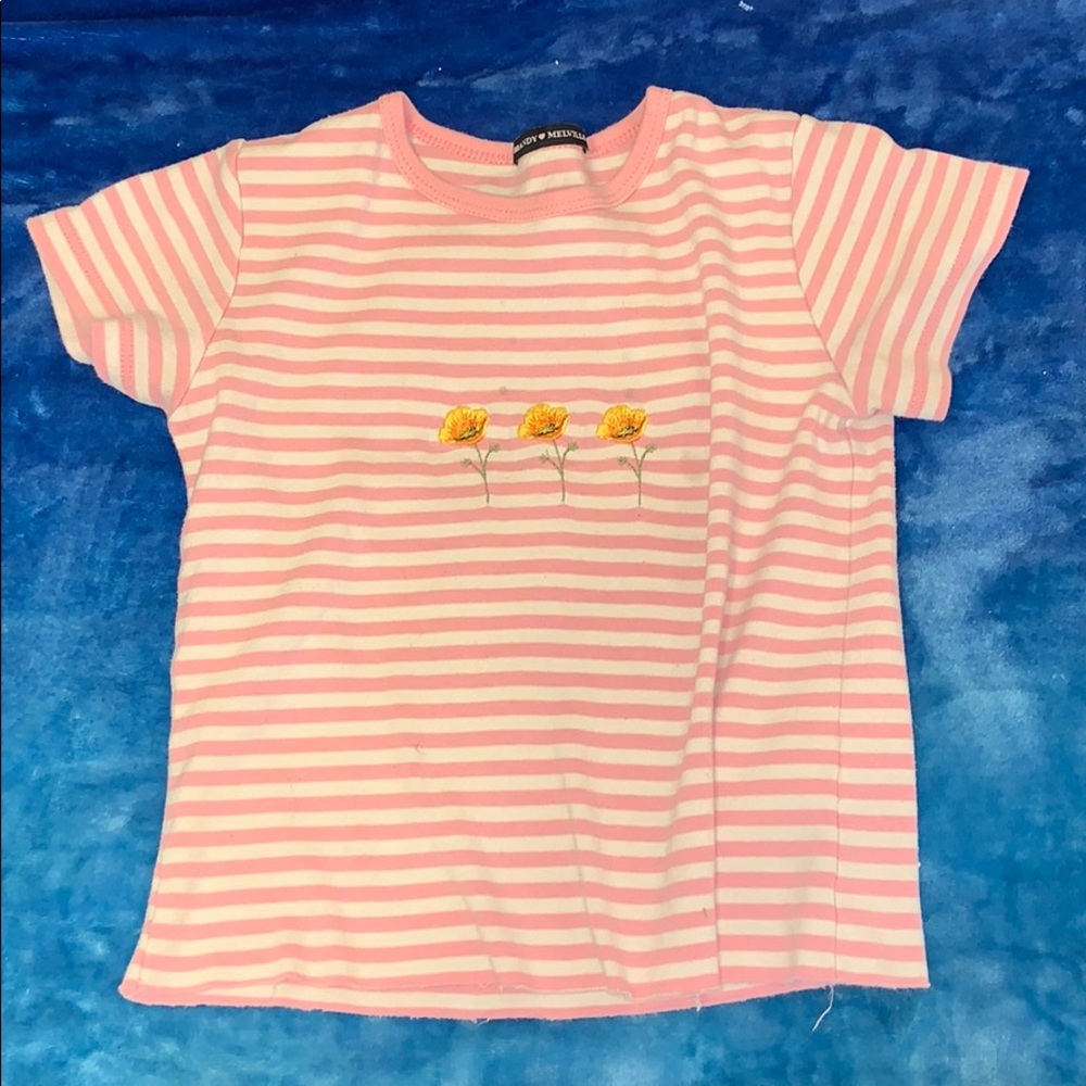 Brandy Melville Shirt